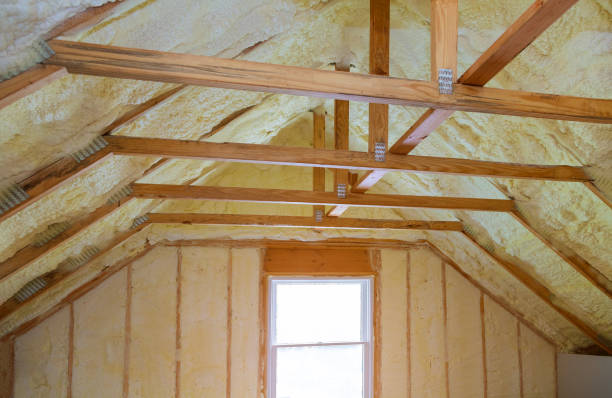 Best Types of Insulation in USA